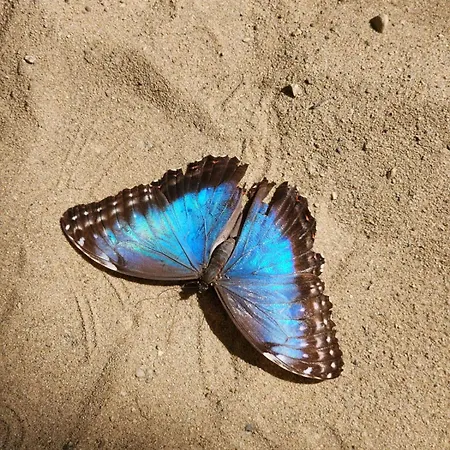 Salem Bed & Breakfast Wladyslawowo