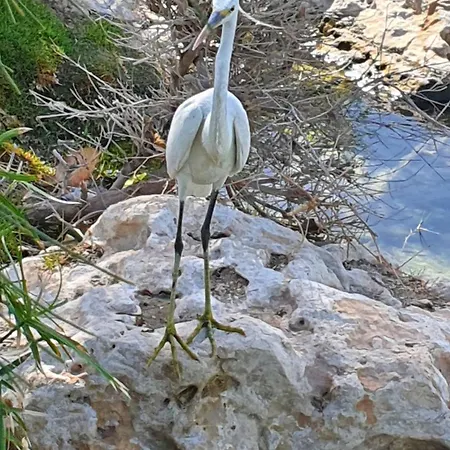 Bed & Breakfast Salem