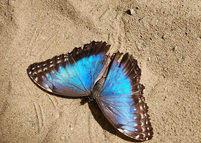 Salem Bed & Breakfast Władysławowo