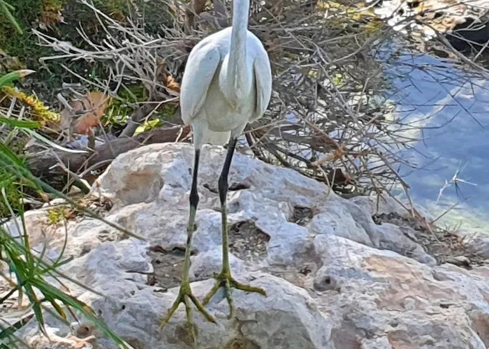 Bed & Breakfast Salem